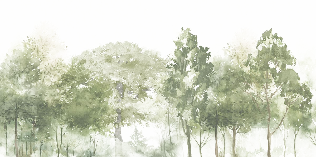 Ilustración de bosque en acuarela